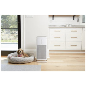 ECTQJMD4C5490B_3 jpg - Purificador de Ar com Filtro HEPA H13 para até 92 m2, Cuisinart CAP 1000, 110V, Branco