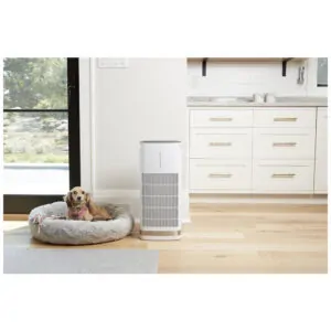 ECTQJMD4C5490B_3 jpg - Purificador de Ar com Filtro HEPA H13 para até 92 m2, Cuisinart CAP 1000, 110V, Branco
